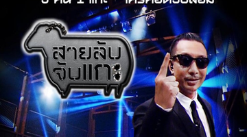 สายลับจับแกะ