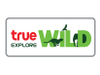 True Explore Wild