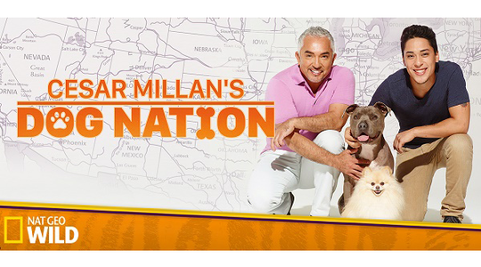 ทรูวิชั่นส์ชวนคุณเรียนรู้สุนัขตัวโปรด ใน Cesar Millan’s Dog Nation